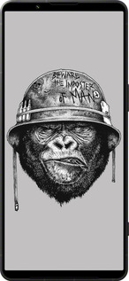 Силиконовый чехол military monkey для Sony Xperia 1 VI - 4177u-3975 изображение 