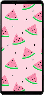 Силиконовый чехол Розовый арбуз для Sony Xperia 1 VI - 4314u-3975 изображение 