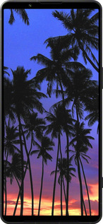 Силиконовый чехол Пальмы для Sony Xperia 1 VI - 4324u-3975 изображение 