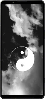 Силиконовый чехол Инь и Янь для Sony Xperia 1 VI - 4389u-3975 изображение 