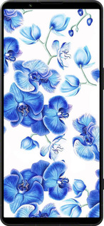 Силиконовый чехол Голубые орхидеи для Sony Xperia 1 VI - 4406u-3975 изображение 