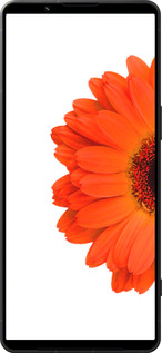 Силиконовый чехол Гербера 1 для Sony Xperia 1 VI - 4534u-3975 изображение 