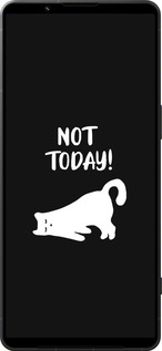 Силиконовый чехол Уставший кот для Sony Xperia 1 VI - 4535u-3975 изображение 