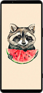 Силиконовый чехол Енотик с арбузом для Sony Xperia 1 VI - 4605u-3975 изображение 