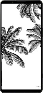 Силиконовый чехол Пальмы1 для Sony Xperia 1 VI - 4634u-3975 изображение 