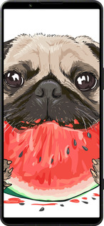 Силиконовый чехол Мопс и арбуз для Sony Xperia 1 VI - 4665u-3975 изображение 