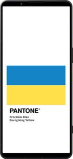 Силиконовый чехол Прапор Пантон для Sony Xperia 1 VI - 5275u-3975 изображение 