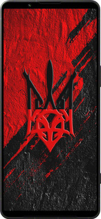 Силиконовый чехол Герб v4 для Sony Xperia 1 VI - 5293u-3975 изображение 