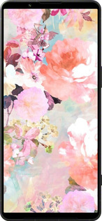 Силиконовый чехол № 5404 для Sony Xperia 1 VI - 5404u-3975 изображение 