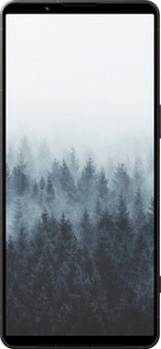 Силиконовый чехол № 5406 для Sony Xperia 1 VI - 5406u-3975 изображение 