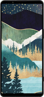 Силиконовый чехол № 5429 для Sony Xperia 1 VI - 5429u-3975 изображение 