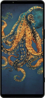 Силиконовый чехол № 5433 для Sony Xperia 1 VI - 5433u-3975 изображение 