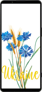 Силиконовый чехол Ukraine v2 для Sony Xperia 1 VI - 5445u-3975 изображение 