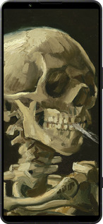Силиконовый чехол Винсент Ван Гог. Череп для Sony Xperia 1 VI - 5544u-3975 изображение 