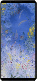 Силиконовый чехол Билокур для Sony Xperia 1 VI - 5908u-3975 изображение 