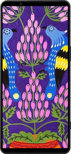 Силіконовий чехол Примаченко5 для Sony Xperia 1 VI - 5913u-3975 изображение 