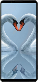 Силиконовый чехол Лебеди для Sony Xperia 1 VI - 6007u-3975 изображение 