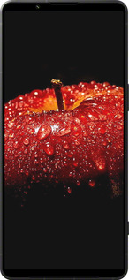 Силиконовый чехол Яблоко для Sony Xperia 1 VI - 6022u-3975 изображение 