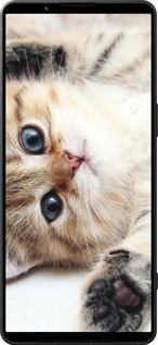 Силиконовый чехол Котик для Sony Xperia 1 VI - 6024u-3975 изображение 