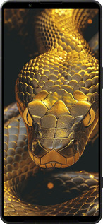 Силіконовий чехол Golden snake для Sony Xperia 1 VI - 6072u-3975 изображение 