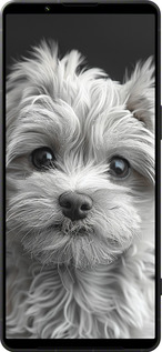 Силиконовый чехол Мальтипу на чорном фоне для Sony Xperia 1 VI - 6156u-3975 изображение 