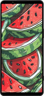 Силиконовый чехол Арбуз для Sony Xperia 1 VI - 6315u-3975 изображение 