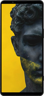 Силиконовый чехол Статуя арт для Sony Xperia 1 VI - 6330u-3975 изображение 