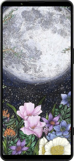 Силиконовый чехол Полночь в саду II для Sony Xperia 1 VI - 6424u-3975 изображение 