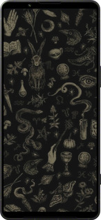 Силиконовый чехол Мистический коллаж с травами и магическими символами для Sony Xperia 1 VI - 6428u-3975 изображение 