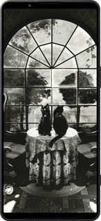 Силиконовый чехол Череп и коты для Sony Xperia 1 VI - 6432u-3975 изображение 