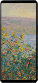 Силиконовый чехол Пейзаж для Sony Xperia 1 VI - 6445u-3975 изображение 