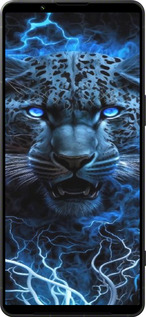 Силиконовый чехол Ледяной леопард для Sony Xperia 1 VI - 6460u-3975 изображение 