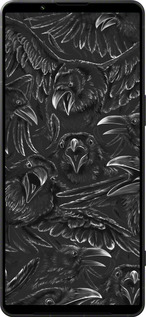 Силиконовый чехол Воронья ярость для Sony Xperia 1 VI - 6474u-3975 изображение 