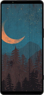 Силиконовый чехол Звездный лес для Sony Xperia 1 VI - 6480u-3975 изображение 