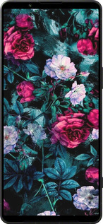 Силиконовый чехол Сад и розы для Sony Xperia 1 VI - 6483u-3975 изображение 