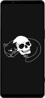 Силиконовый чехол С изображением кота и черепа для Sony Xperia 1 VI - 6491u-3975 изображение 