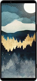 Силіконовий чехол Нічний краєвид з лісом та горами для Sony Xperia 1 VI - 6493u-3975 изображение 