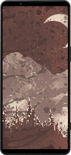 Силиконовый чехол С изображением лунного пейзажа в ночном лесу для Sony Xperia 1 VI - 6546u-3975 изображение 