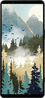 Силиконовый чехол С изображением лесного пейзажа для Sony Xperia 1 VI - 6548u-3975 изображение 