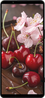 Силиконовый чехол Вишня в шоколаде для Sony Xperia 1 VI - 6698u-3975 изображение 