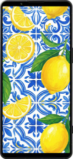 Силиконовый чехол Grocery Girl Italian Summer для Sony Xperia 1 VI - 6766u-3975 изображение 