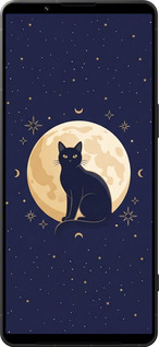 Силиконовый чехол Cute Cat Celestial/Witchy для Sony Xperia 1 VI - 6787u-3975 изображение 