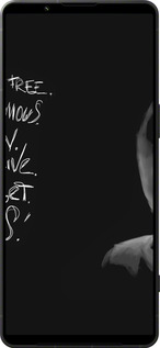 Силиконовый чехол Анонимус для Sony Xperia 1 VI - 832u-3975 изображение 