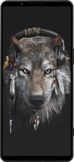 Силіконовий чехол Вовк-меломан для Sony Xperia 1 VI - 875u-3975 изображение 