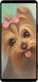 Силиконовый чехол Нарисованный йоркширский терьер для Sony Xperia 1 VI - 928u-3975 изображение 