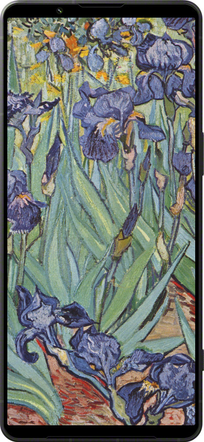 Силиконовый чехол Винсент Ван Гог. Ирисы для Sony Xperia 1 VI - 161u-3975 изображение 