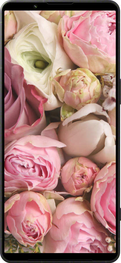 Силиконовый чехол Розы v2 для Sony Xperia 1 VI - 2320u-3975 изображение 