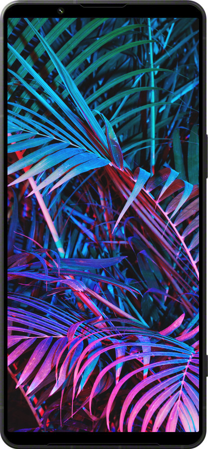 Силиконовый чехол Папоротник под ультрафиолетом для Sony Xperia 1 VI - 4069u-3975 изображение 