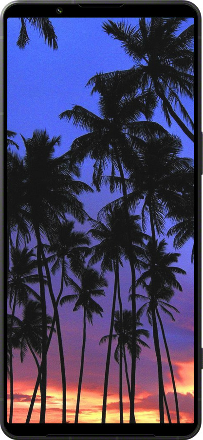 Силиконовый чехол Пальмы для Sony Xperia 1 VI - 4324u-3975 изображение 