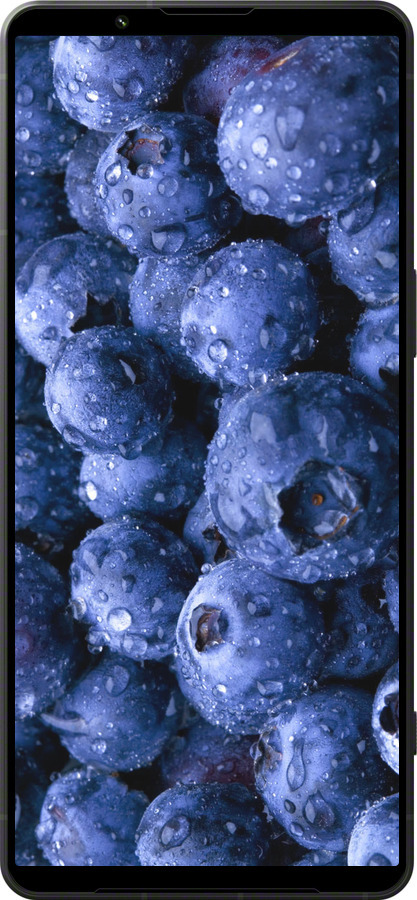 Силиконовый чехол Голубика для Sony Xperia 1 VI - 4459u-3975 изображение 